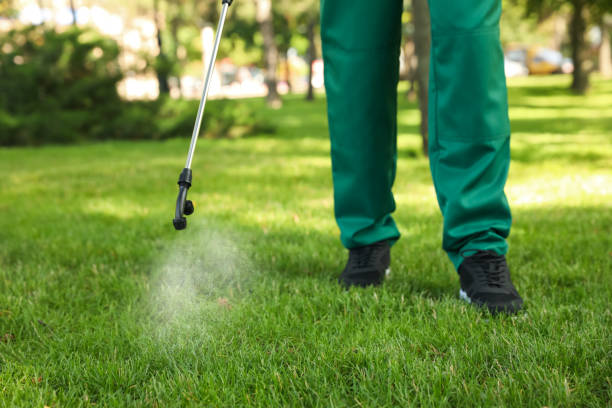 Wasp Removal Services in Genola, UT