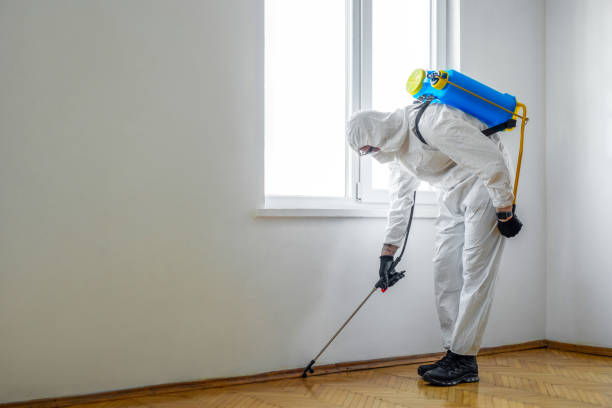 Best Flea Control Services  in Genola, UT
