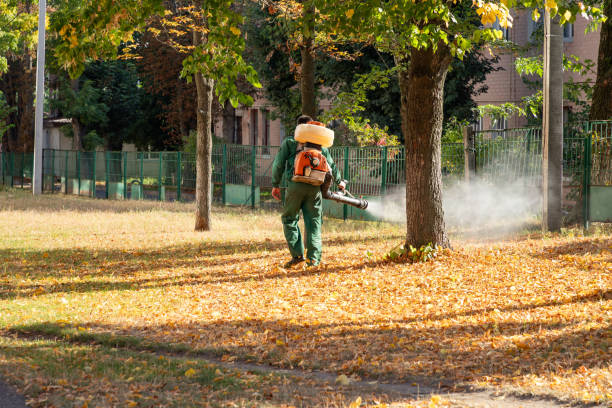 Trusted Genola, UT Pest Control Experts