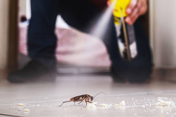 Best Termite Control Services  in Genola, UT