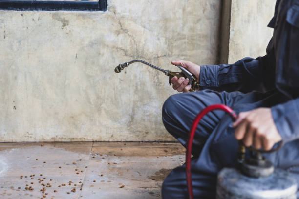 Best Mosquito Control Services  in Genola, UT